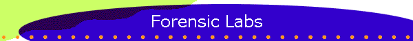 Forensic Labs
