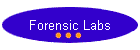 Forensic Labs